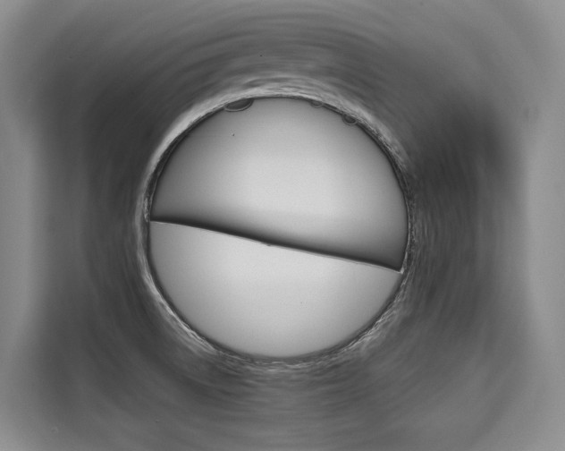 X0000110321522200905211155