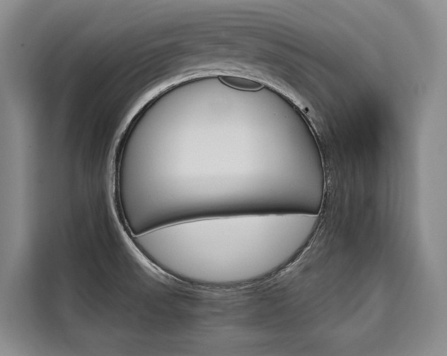 X0000110321523200905211155