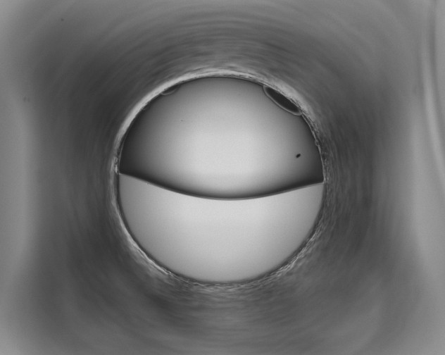 X0000110321524200905211155