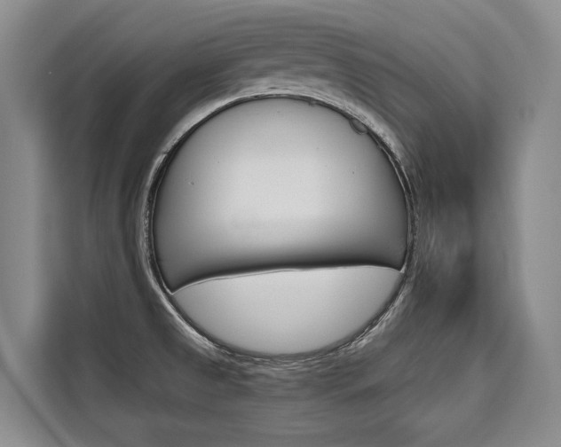 X0000110321525200905211155