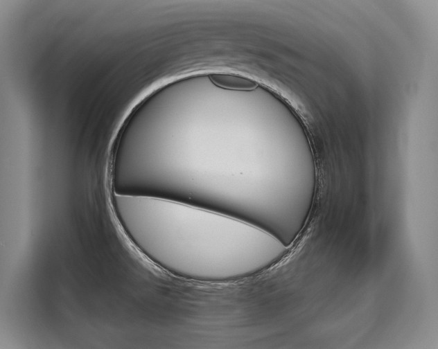 X0000110321526200905211155