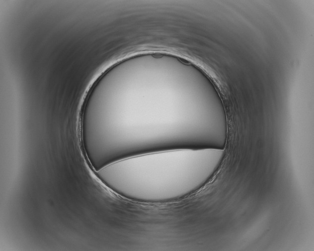 X0000110321527200905211155