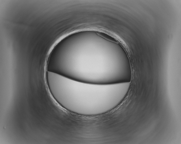 X0000110321528200905211155