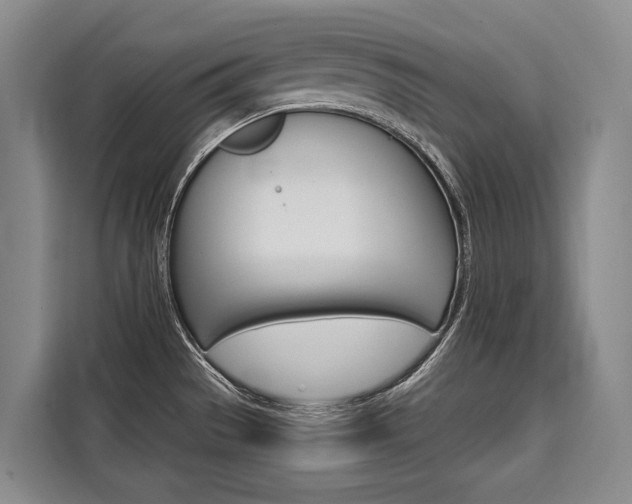 X0000110321529200905211155