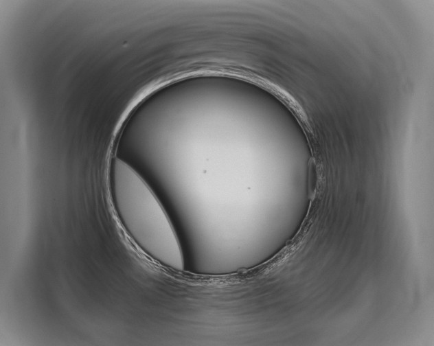 X0000110321530200905211155