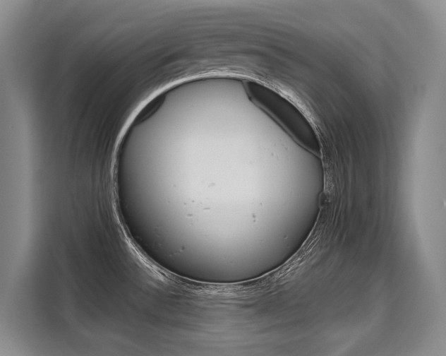 X0000110321532200905211155