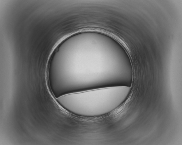 X0000110321533200905211155
