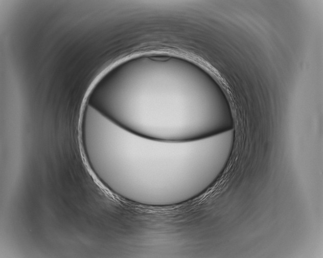 X0000110321536200905211155