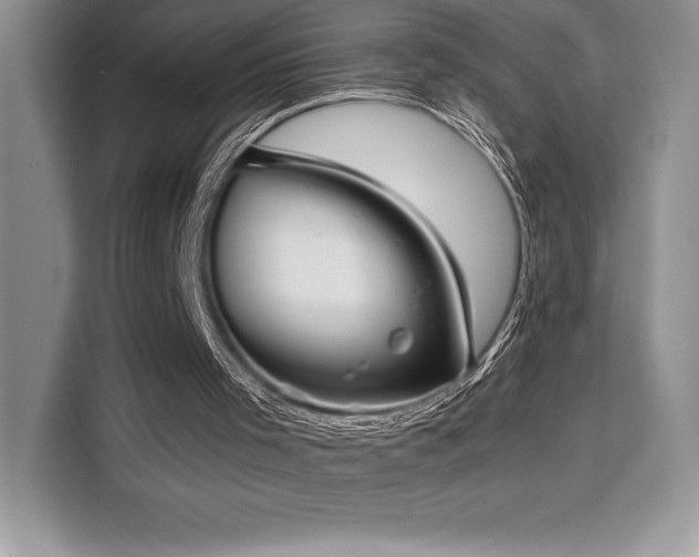 X0000110320001200905211536