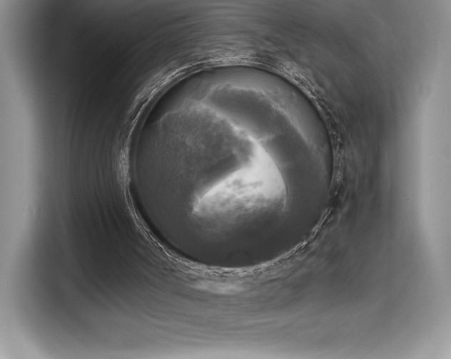 X0000110320002200905211536