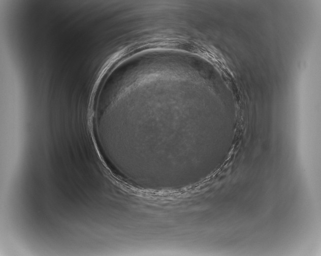 X0000110320003200905211536