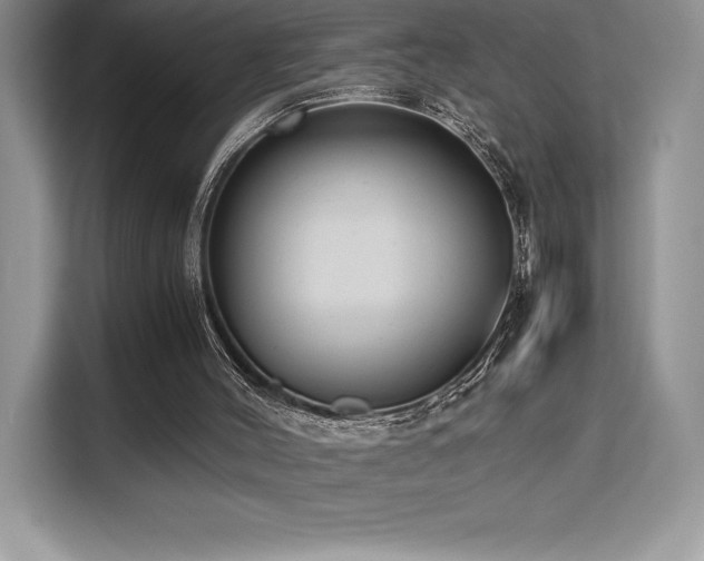 X0000110320004200905211536