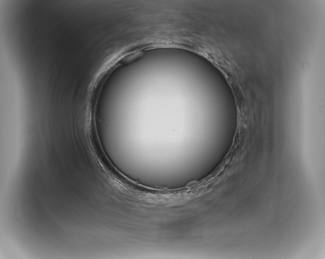 X0000110320005200905211535