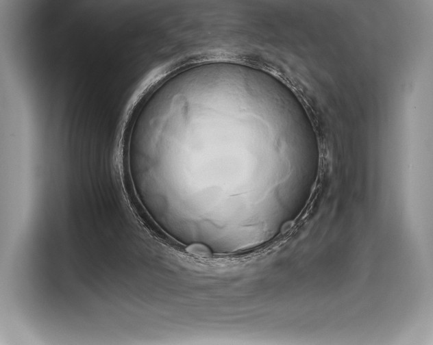 X0000110320006200905211535