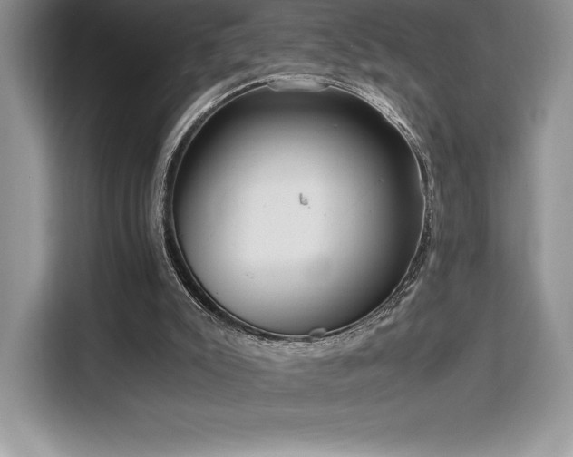 X0000110320007200905211535