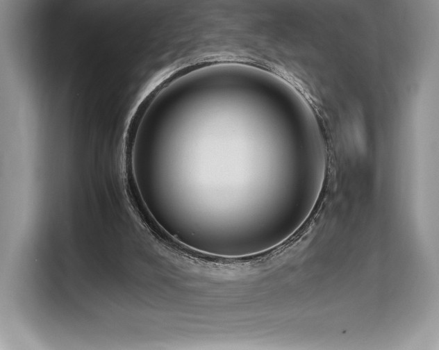 X0000110320008200905211535