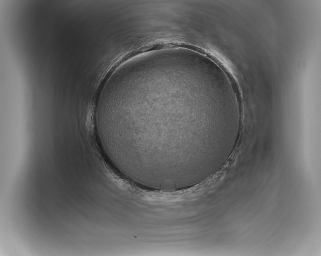 X0000110320009200905211535