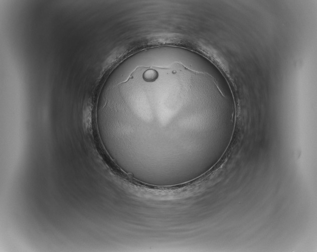 X0000110320010200905211535