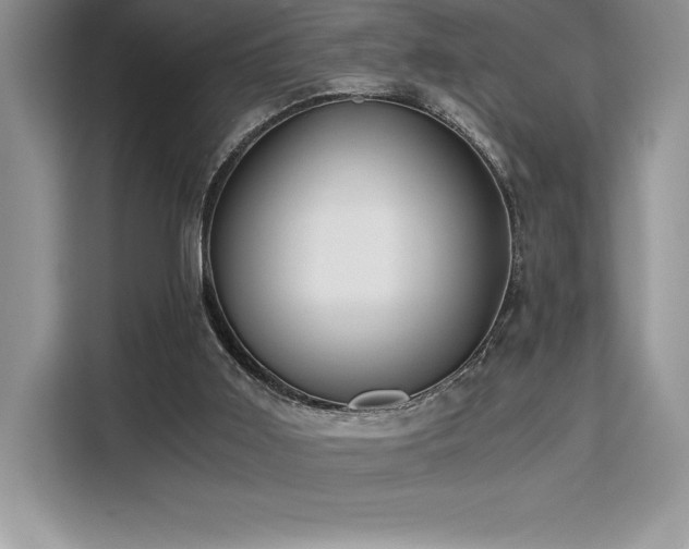 X0000110320011200905211535