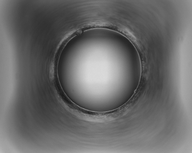 X0000110320012200905211535