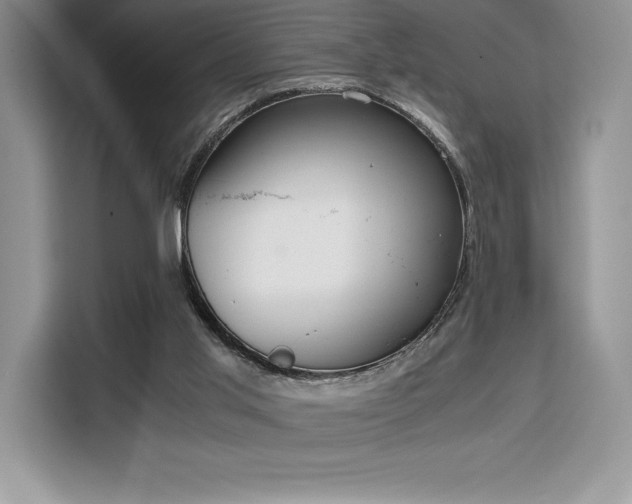 X0000110320013200905211535