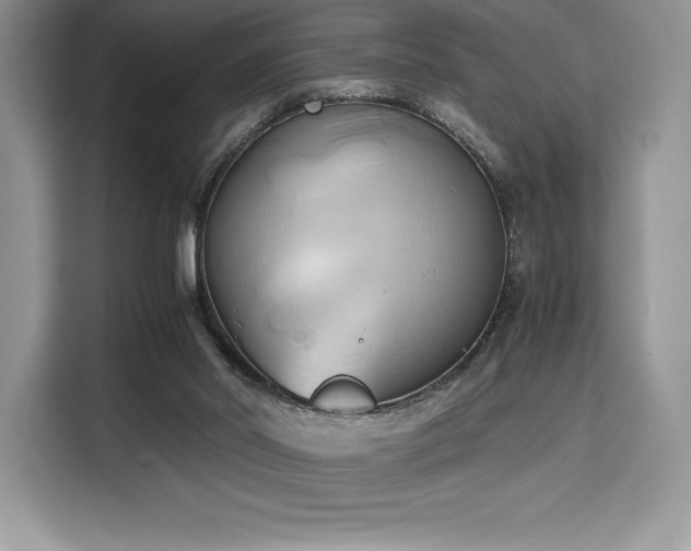 X0000110320014200905211535