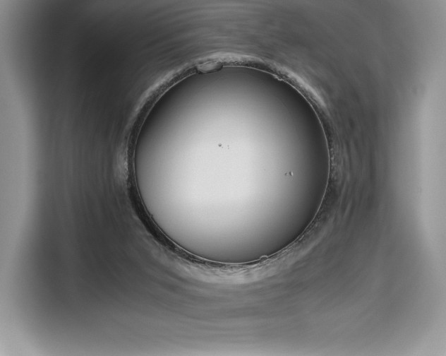 X0000110320015200905211535