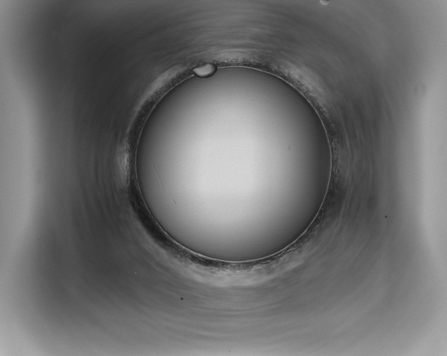 X0000110320016200905211535