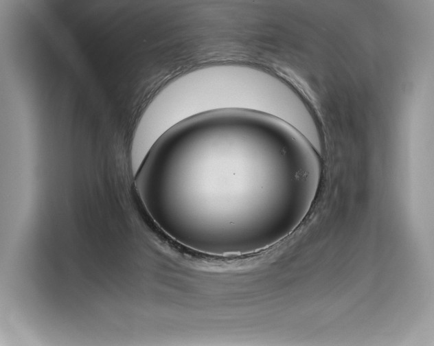 X0000110320017200905211535