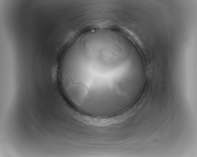 X0000110320018200905211535