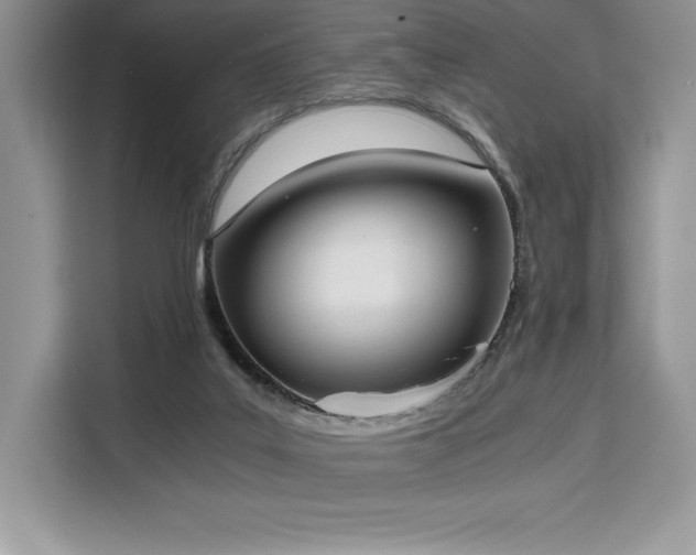 X0000110320019200905211535