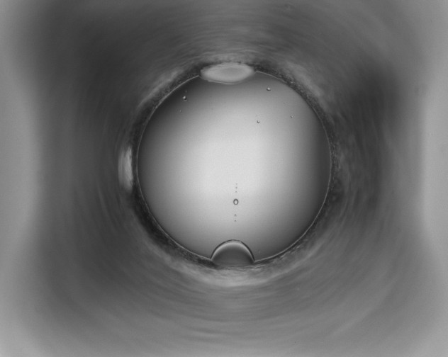 X0000110320020200905211535