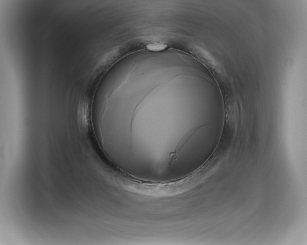 X0000110320023200905211535