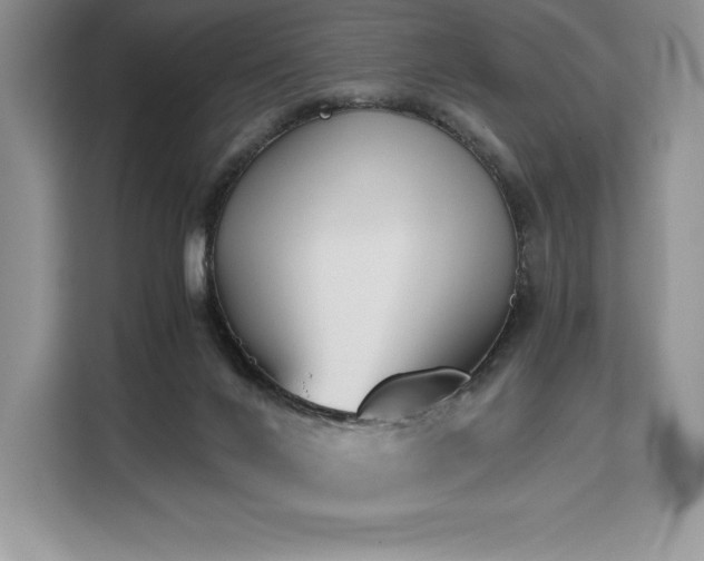 X0000110320024200905211535