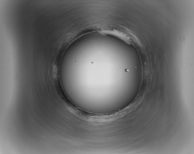 X0000110320025200905211535