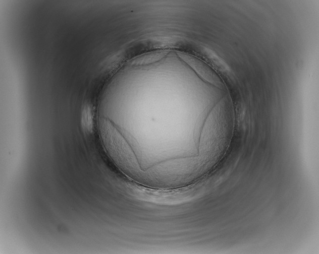 X0000110320026200905211535