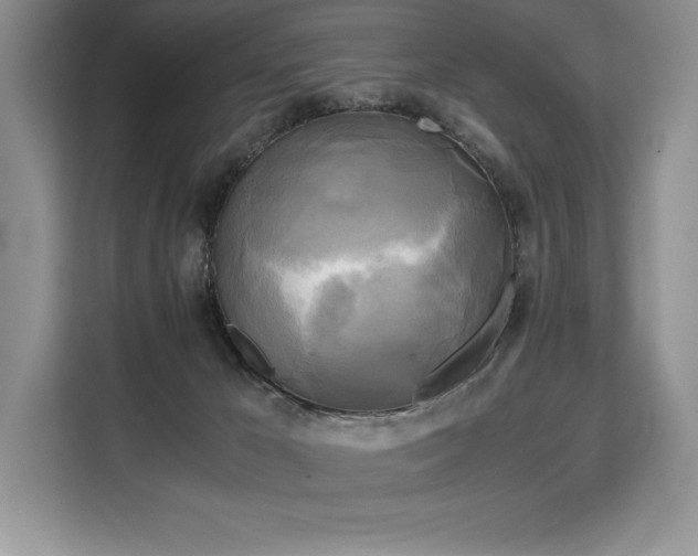 X0000110320029200905211535