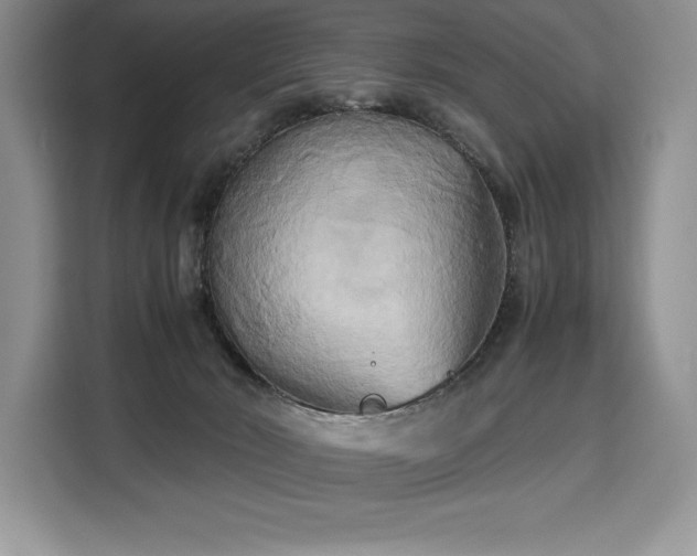 X0000110320030200905211535