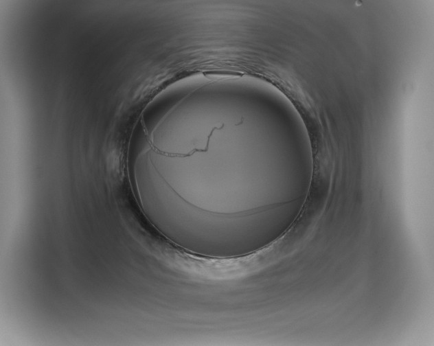 X0000110320031200905211535