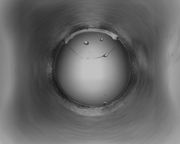 X0000110320032200905211535