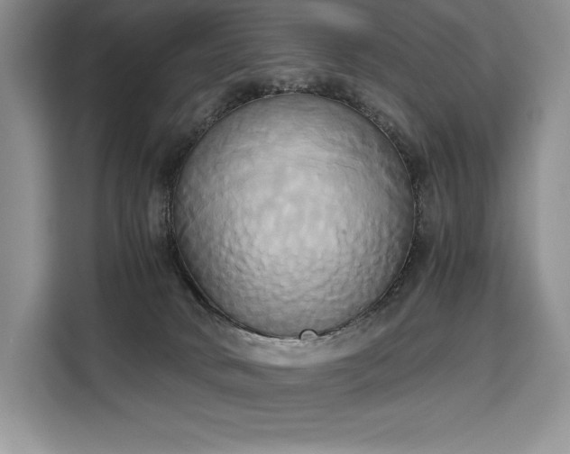 X0000110320034200905211535