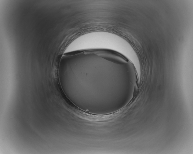 X0000110320035200905211535