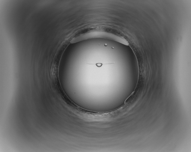 X0000110320036200905211535