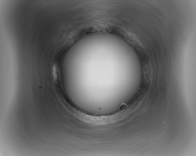 X0000110320038200905211535