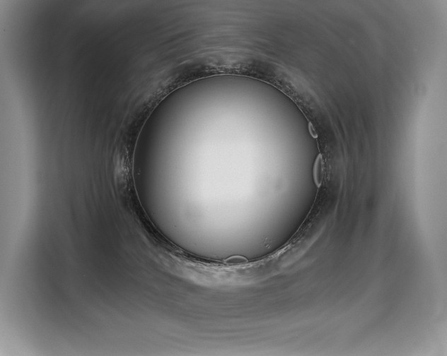 X0000110320040200905211535