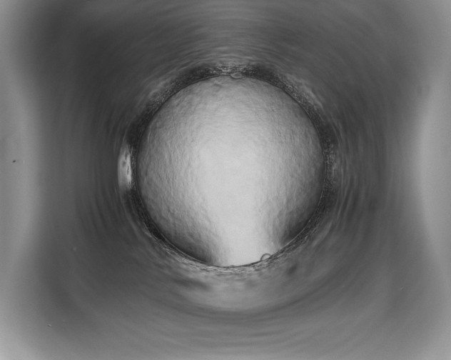 X0000110320042200905211535