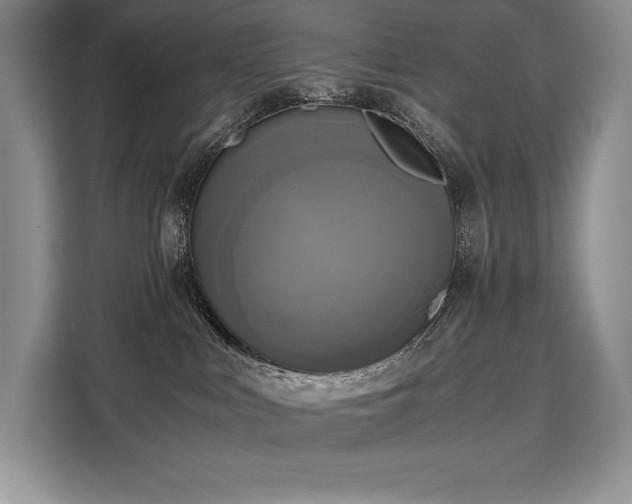 X0000110320043200905211535