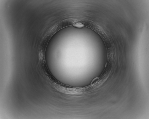 X0000110320044200905211535