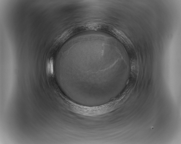 X0000110320046200905211535