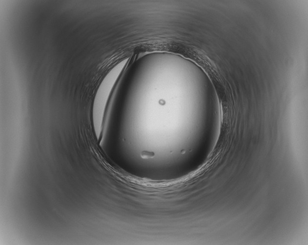 X0000110320047200905211535